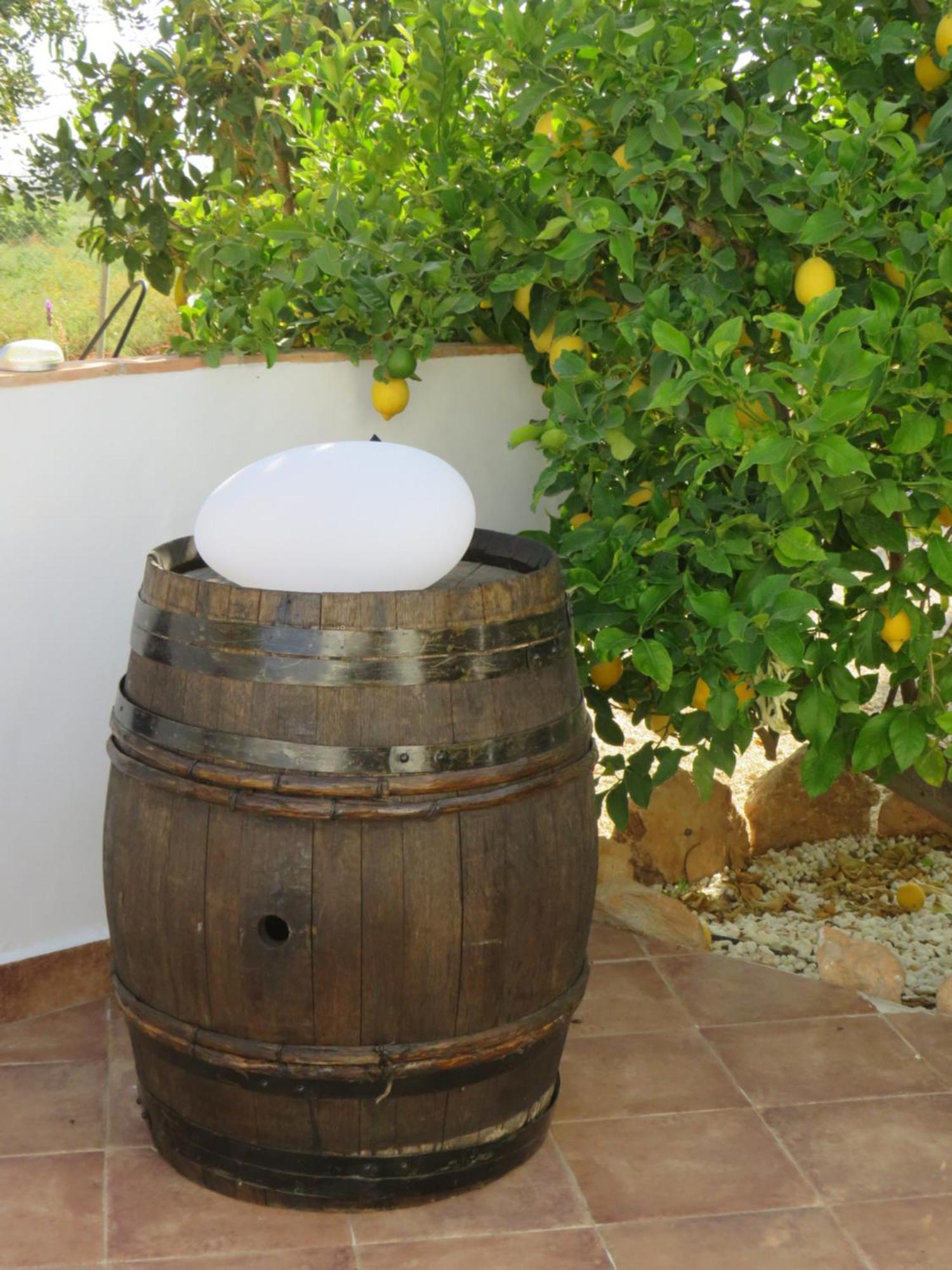 كارتاخينه B&B Finca La Manchica المظهر الخارجي الصورة